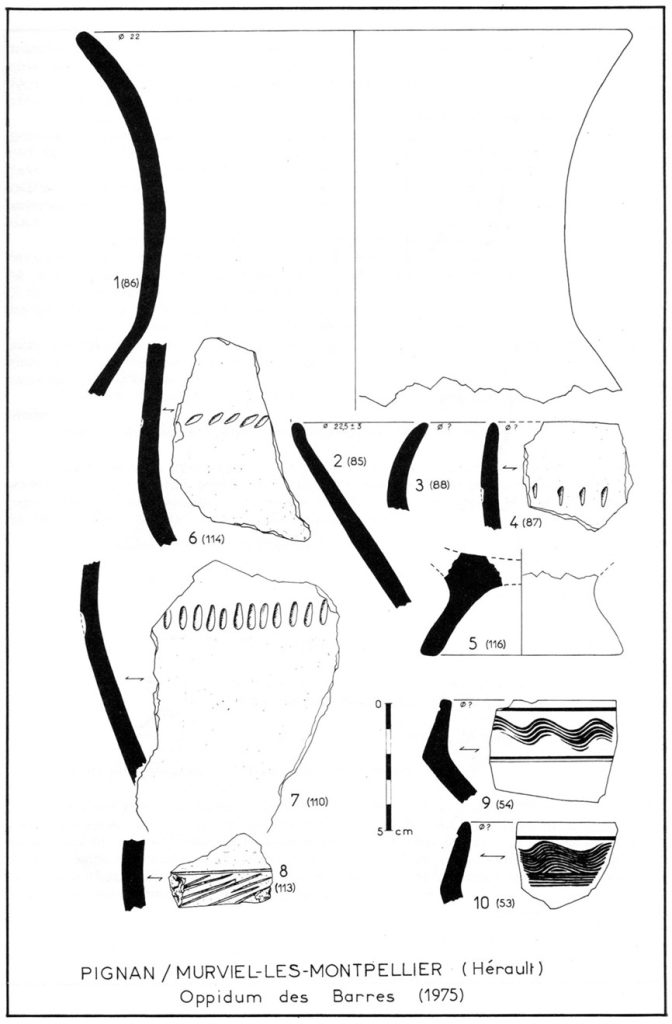 Pignan Bois de Barre (fin VIe-Ve siècle av. J.-C.)