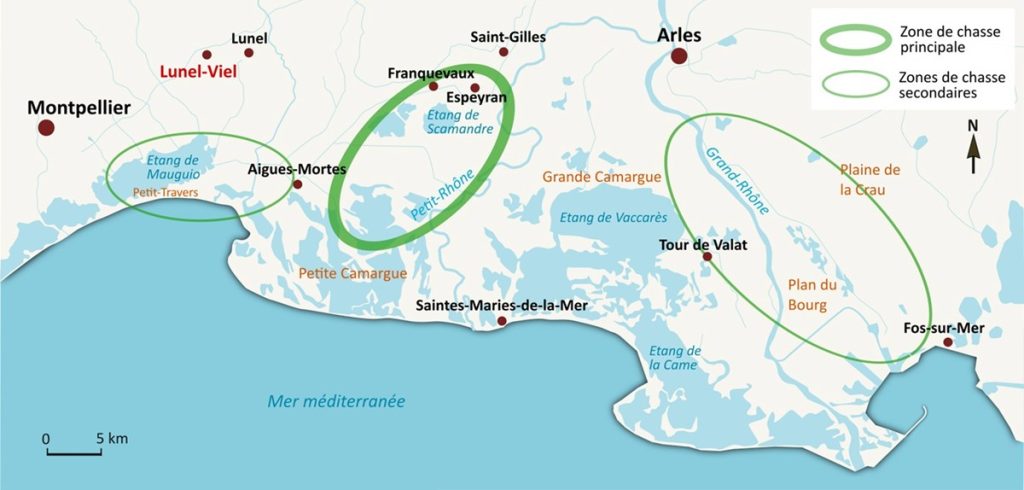 Cartographie des principales zones de chasse
