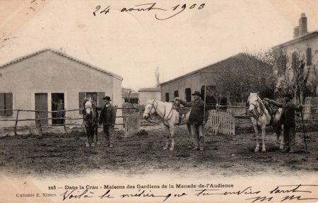 Gardians en Camargue, carte postale de Mme P. Manse, née Marie de Cabissole à son petit-fils Bernard (4 août 1903)