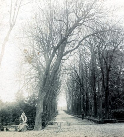 L’allée des marronniers vue du château (18 janvier 1899)