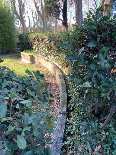 Rigole d’irrigation dans le parc (2021)