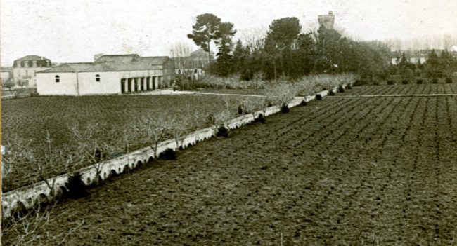 L’aqueduc traversant le vignoble du Clos Vieux (1898)