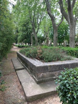Plantations dans l’ancien lavoir (2023)